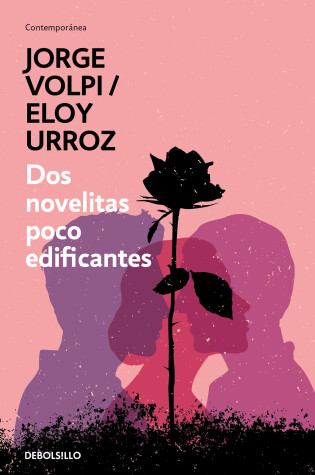Cover of Dos novelitas poco edificantes / Two Slightly Instructive Novels