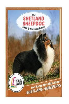 Book cover for The Shetland Sheepdog Fact and Picture Book
