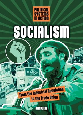 Book cover for Socialism