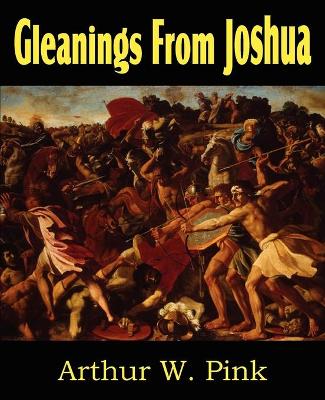 Book cover for Gleanings from Joshua