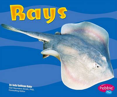 Book cover for Rays