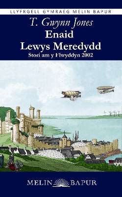 Book cover for Enaid Lewys Meredydd