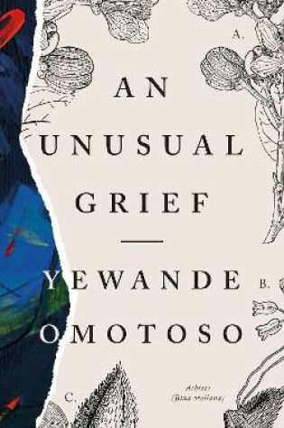 Cover of An Unusual Grief