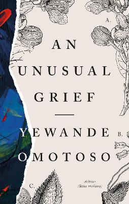 Book cover for An Unusual Grief