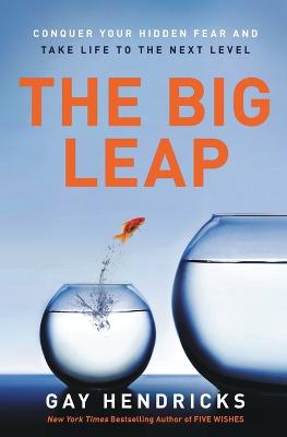 Book cover for The Big Leap