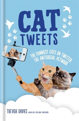 Book cover for Cat Tweets