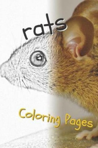 Cover of Rat Coloring Pages