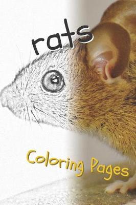 Book cover for Rat Coloring Pages