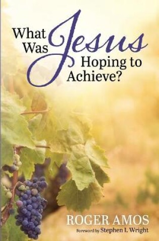 Cover of What Was Jesus Hoping to Achieve?