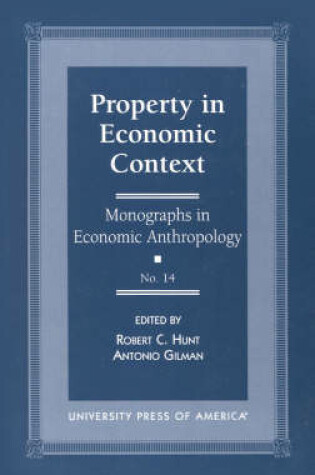 Cover of Property in Economic Context