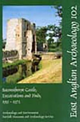 Cover of EAA 102: Baconsthorpe Castle, Excavations and Finds, 1951-1972