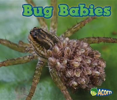 Book cover for Bug Babies (Animal Babies)
