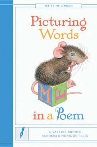 Cover of Picturing Words in a Poem