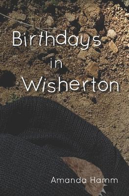 Book cover for Birthdays in Wisherton