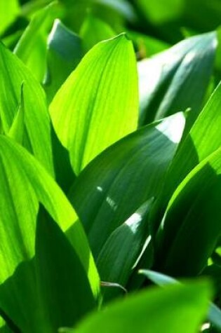 Cover of Bears Garlic Allium Ursinum, for the Love of Nature