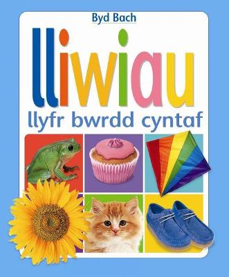 Book cover for Cyfres Byd Bach: Lliwiau  Llyfr Bwrdd Cyntaf