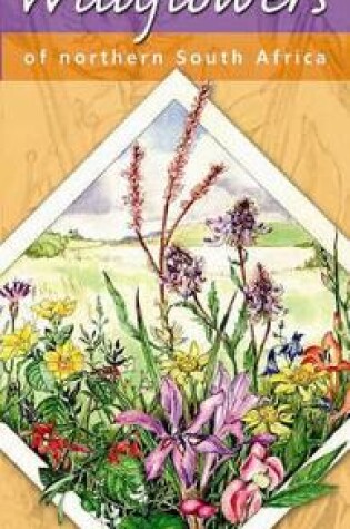 Cover of Illustrated guide to wildflowers of Northern South Africa