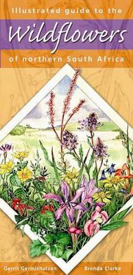 Book cover for Illustrated guide to wildflowers of Northern South Africa