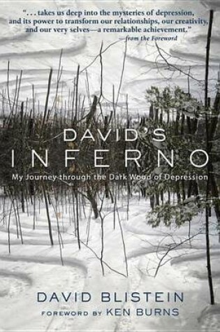 Cover of David's Inferno: My Journey Through the Dark Wood of Depression