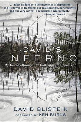 Book cover for David's Inferno: My Journey Through the Dark Wood of Depression