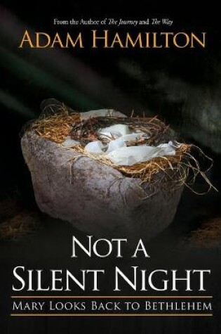 Cover of Not a Silent Night Paperback Edition