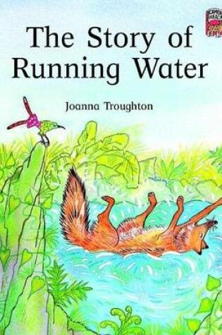 Cover of The Story of Running Water - Play India edition