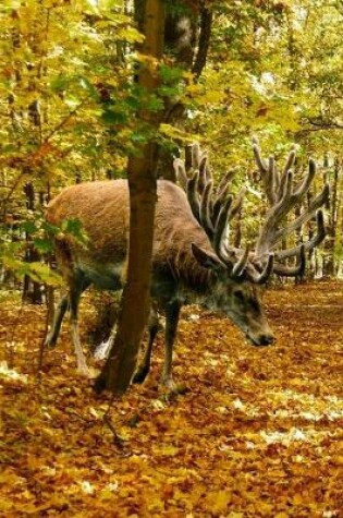 Cover of Deer in an Autumn Wood Journal