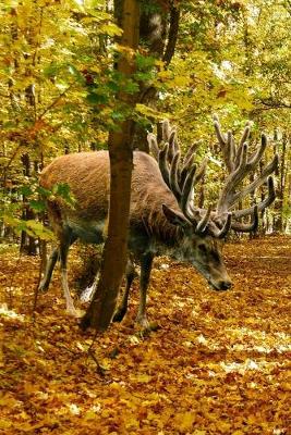 Book cover for Deer in an Autumn Wood Journal