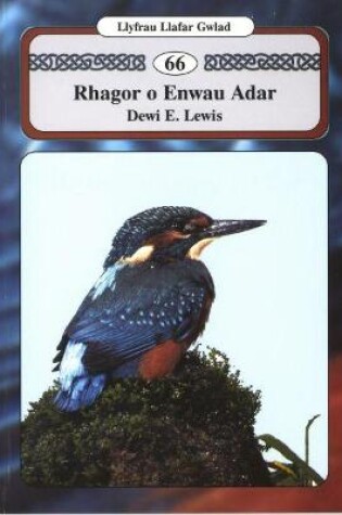 Cover of Llyfrau Llafar Gwlad: 66. Rhagor o Enwau Adar