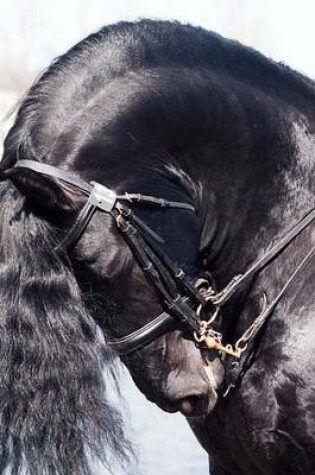 Cover of Portrait of a Black Friesian Horse Journal