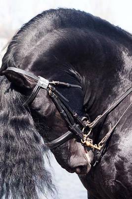 Book cover for Portrait of a Black Friesian Horse Journal