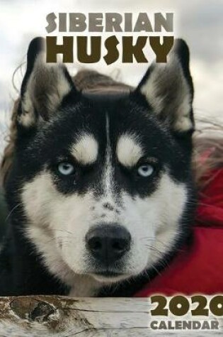 Cover of The Siberian Husky 2020 Calendar