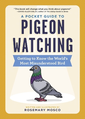 Book cover for A Pocket Guide to Pigeon Watching