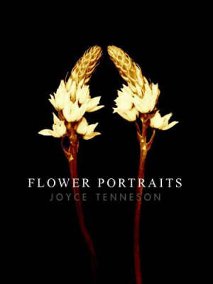 Book cover for Flower Portraits