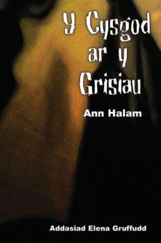 Cover of Cyfres Ar Bigau: Cysgod ar y Grisiau, Y