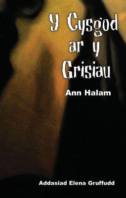 Book cover for Cyfres Ar Bigau: Y Cysgod ar y Grisiau