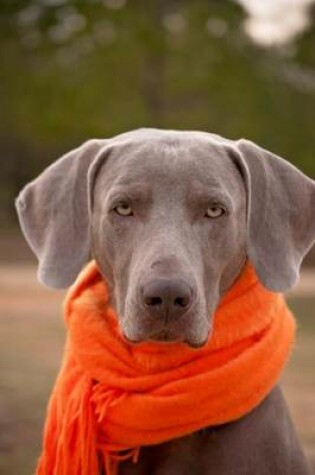 Cover of Weimaraner Dog with an Orange Scarf Journal