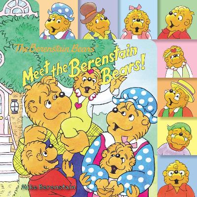 Book cover for Meet the Berenstain Bears!