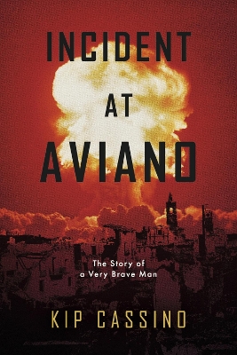 Book cover for Incident at Aviano