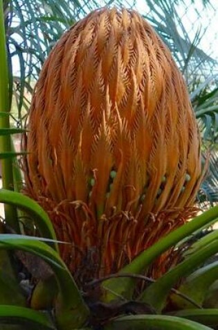 Cover of Sago Palm Cone, for the Love of Nature