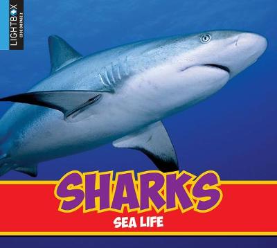 Book cover for Sharks