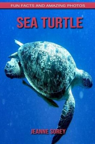 Cover of Sea Turtle