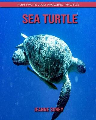 Book cover for Sea Turtle