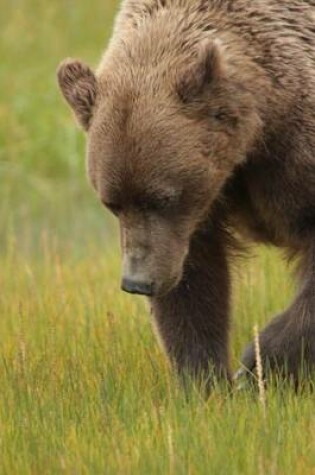 Cover of Coastal Brown Bear in Alaska