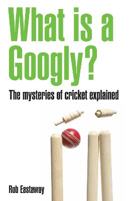 Book cover for What is a Googly?