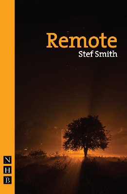 Book cover for Remote