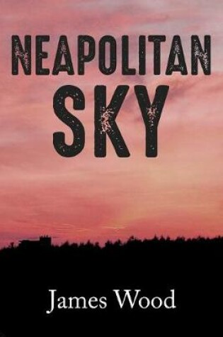 Cover of Neapolitan Sky