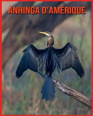 Book cover for Anhinga d'Amérique