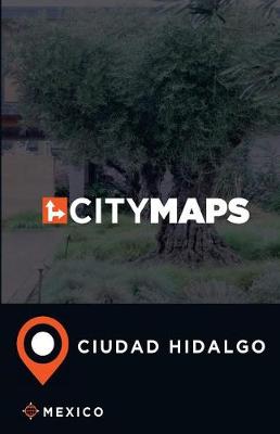 Book cover for City Maps Ciudad Hidalgo Mexico