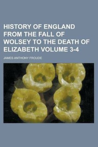Cover of History of England from the Fall of Wolsey to the Death of Elizabeth Volume 3-4